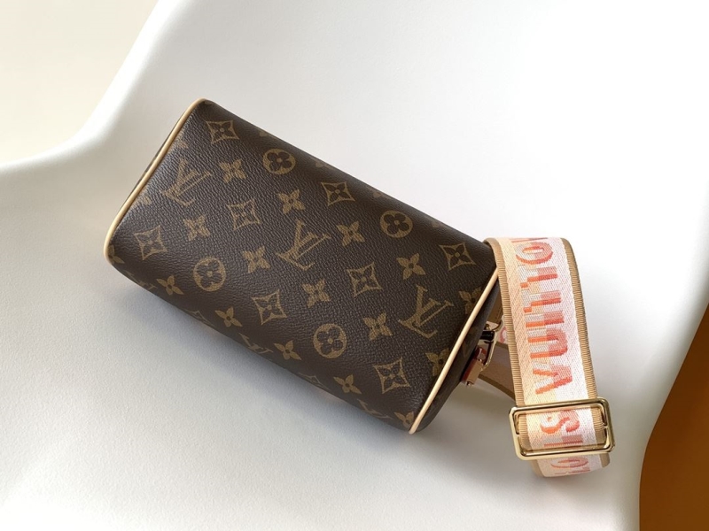 LV Speedy Bags